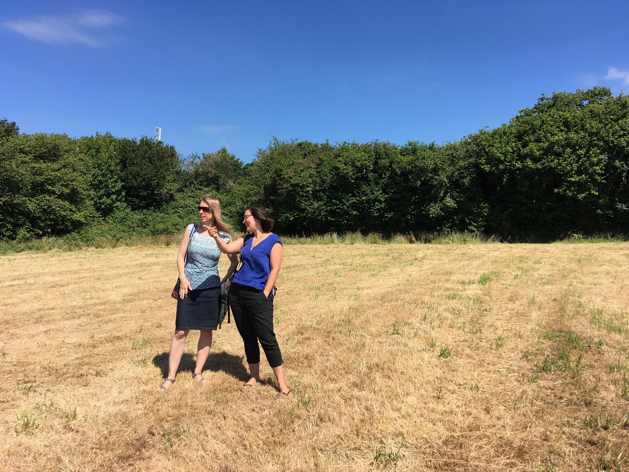 Eco-Affordable Community Housing in the South Hams • South Dartmoor ...